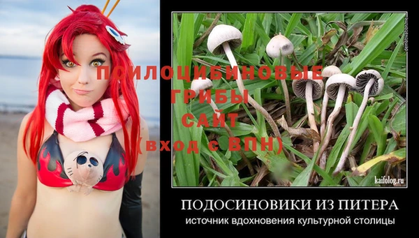 молекула духа Беломорск