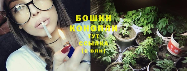 молекула духа Беломорск
