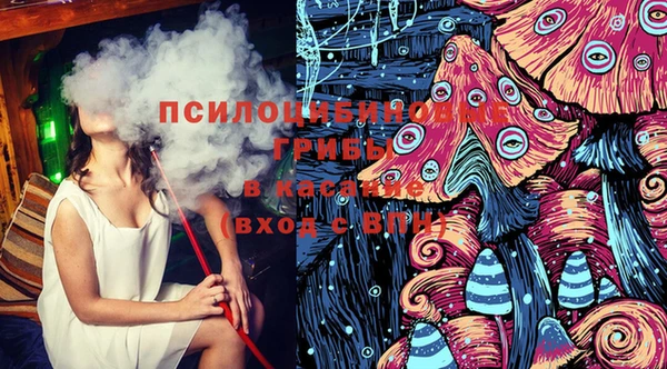 молекула духа Беломорск