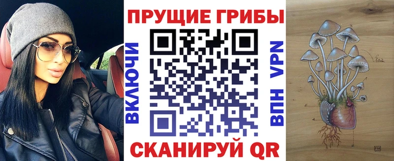 Галлюциногенные грибы Cubensis  Красный Холм 