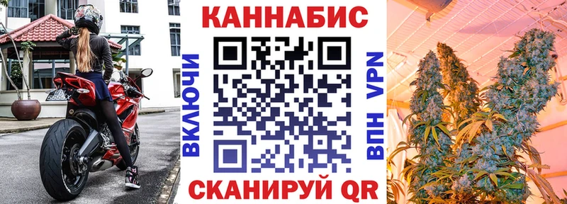 МАРИХУАНА сатива  Красный Холм 